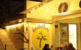 Sun N Soil Backpacker Hostel